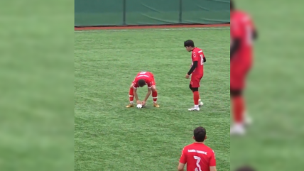   [VIDEO] Arquero derribó a una gaviota de un pelotazo y un compañero la reanimó 