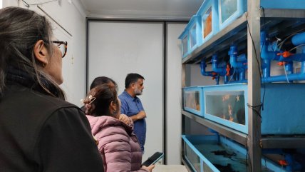   El trabajo del Inach por la preservación de las especies antárticas 