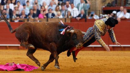   Torero español sufrió la perforación del ano tras ser corneado en evento en Sevilla 