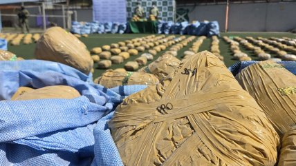   Carabineros incautó casi dos toneladas de droga acopiadas entre quebradas en Taltal 