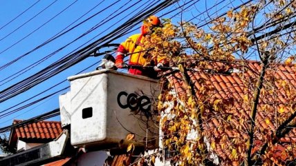   CGE presenta en Maule plan de mantenimiento preventivo enfrentar temporada invernal 