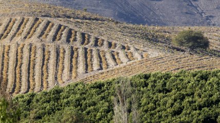   Kast anticipa nuevos impulsos al sector agrícola y la seguridad hídrica 