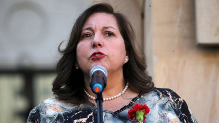   Vodanovic: La megarreforma es una receta que va a matar al enfermo 