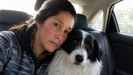   Mujer sobrevivió cinco días en el bosque junto a su perro en Quellón 