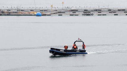  Reflotan embarcación en la que murieron seis personas en Los Lagos  