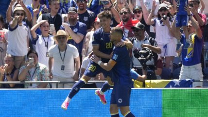   El triunfo que mantuvo con vida a Bosnia en el Mundial 