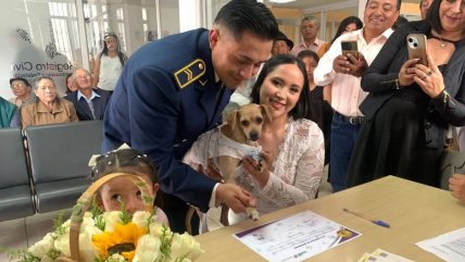   Ecuador permite la participación de mascotas en matrimonios con acta simbólica 
