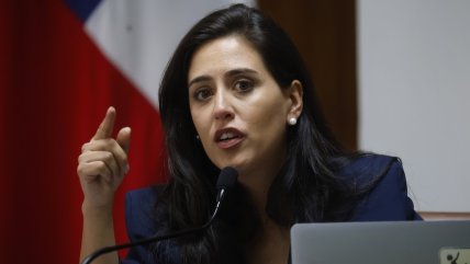  Ripamonti ofició a la SEC para investigar y sancionar a empresas por retraso en reposición de la luz  