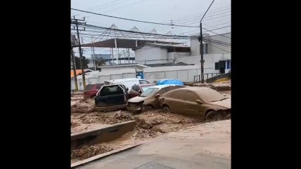   Aluvión arrastró autos por las calles de Tocopilla 