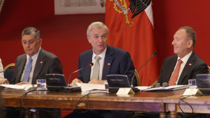   Analista: El Gobierno tiene un patrón de 