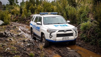   Puerto Varas: Siete detenidos en operativo por tala de bosque nativo y sustracción de madera 