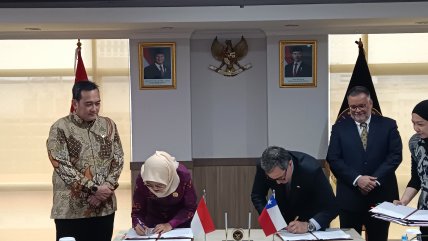   Indonesia reconoció a Chile como país libre de mosca de la fruta 
