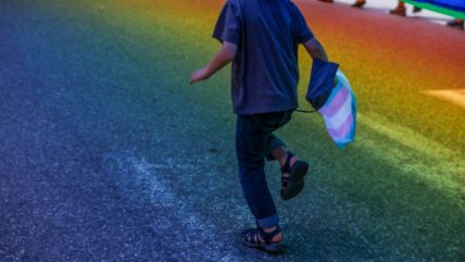   Presupuesto: Movilh denuncia que se omite financiamiento a programas para personas trans 