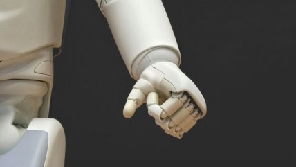   Robot acosó a niña de 16 años: dueños transmitieron la escena por redes sociales 